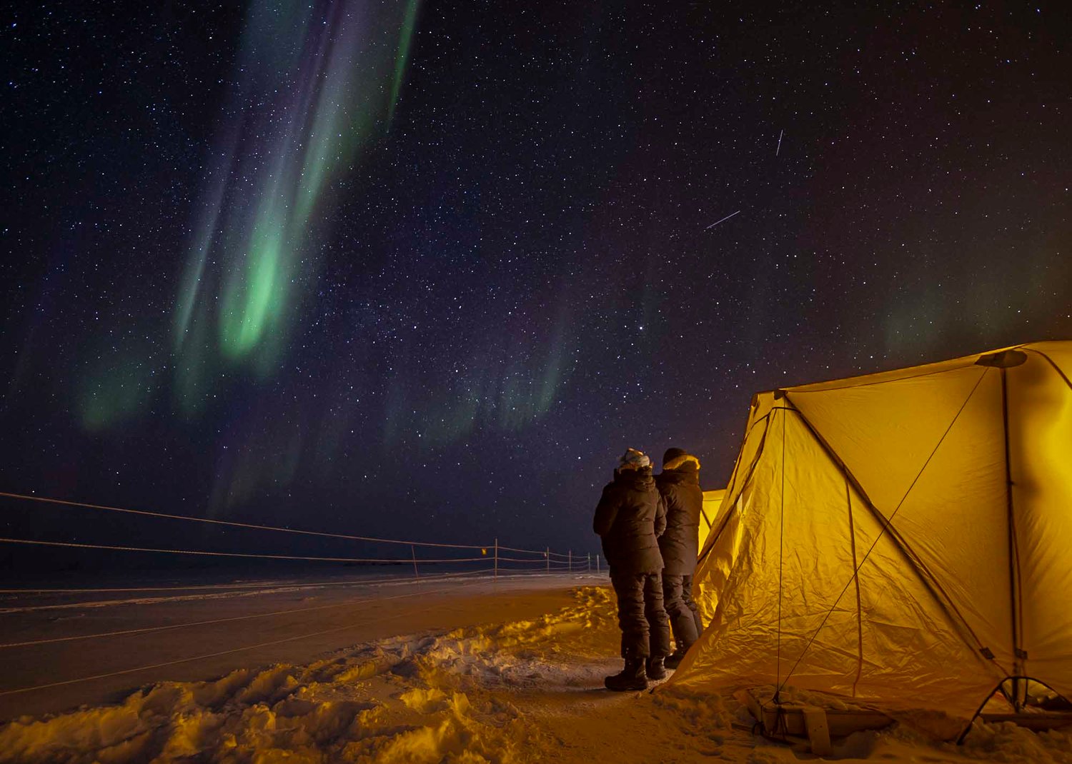 Ours polaires et icebergs au printemps - T 10 - Paul Goldstein - Arctic Kingdom - Ours polaires - Faune et flore arctiques1